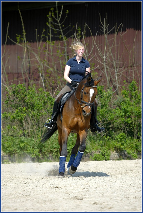 Mein Pferd und ich