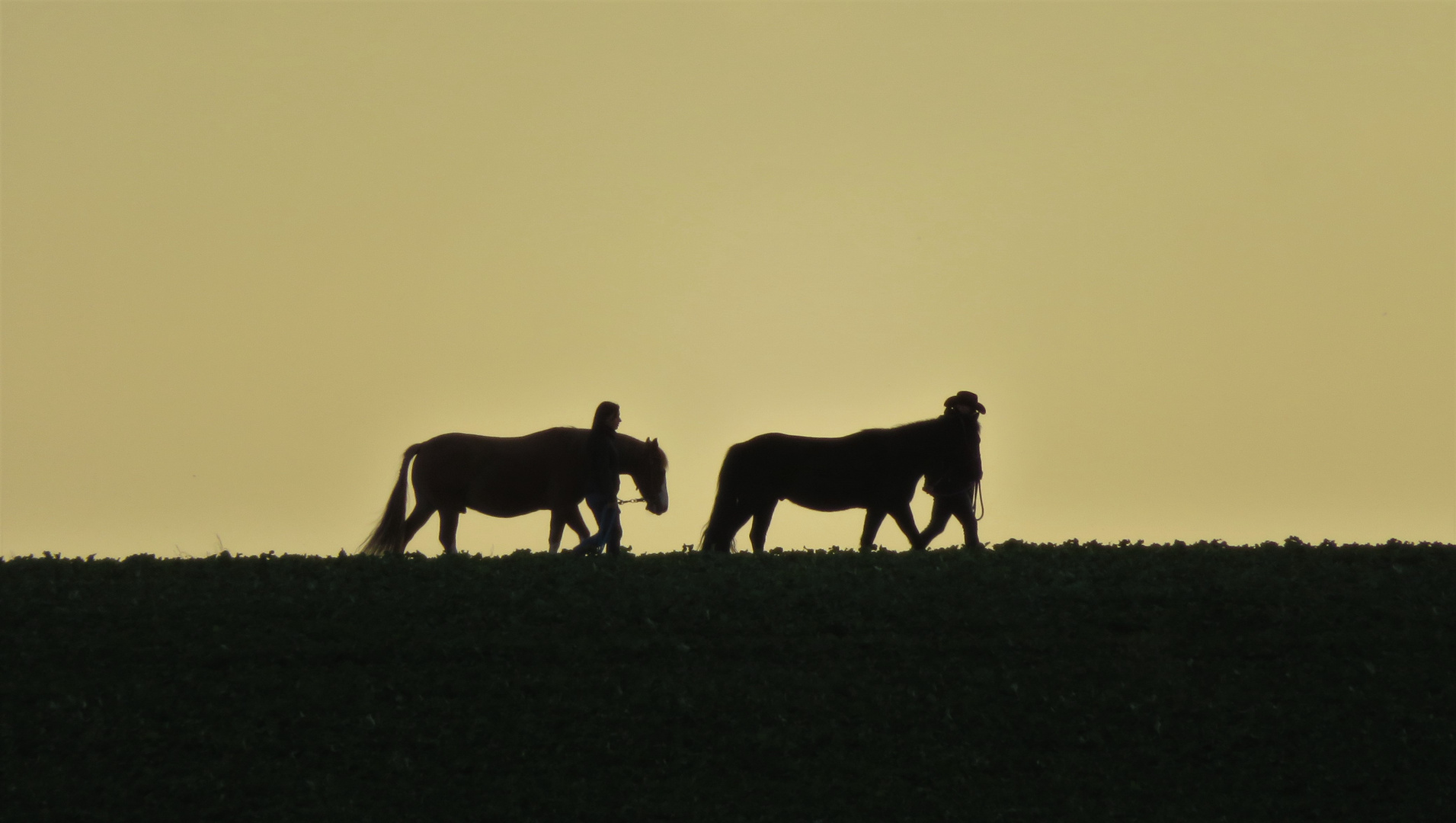 Mein Pferd und ich - nach Hause nach einem tollen Ausritt