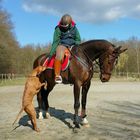 mein Pferdchen Charly und der Paul