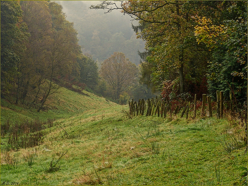 Mein Pirschgebiet im Herbstkleid.