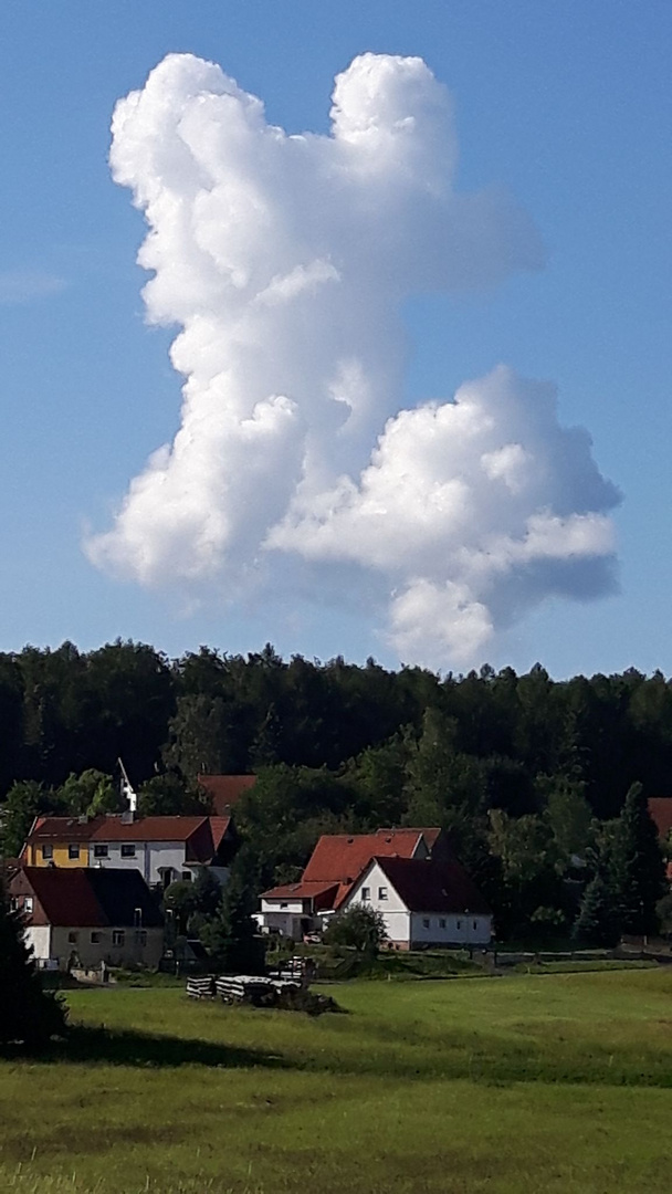 Mein Pudel macht einen Handstand