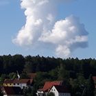 Mein Pudel macht einen Handstand