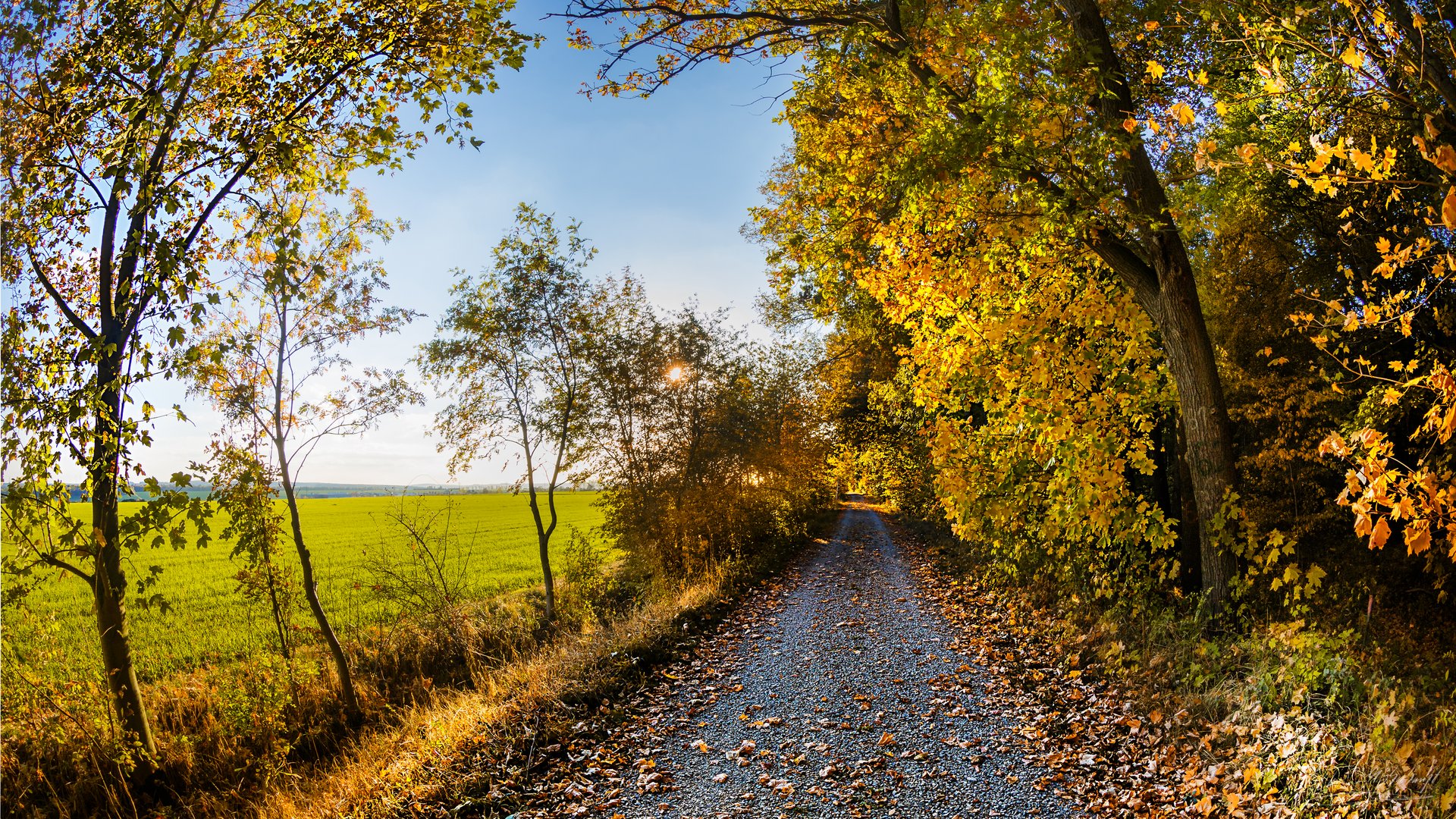 Mein Radweg