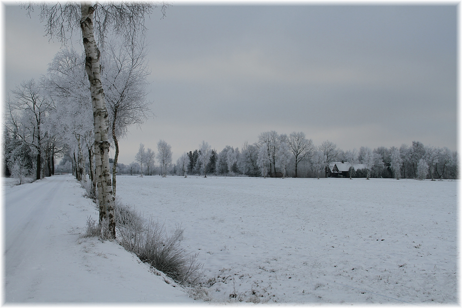 Mein Rastede im Winter