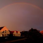 Mein Regenbogen 2020