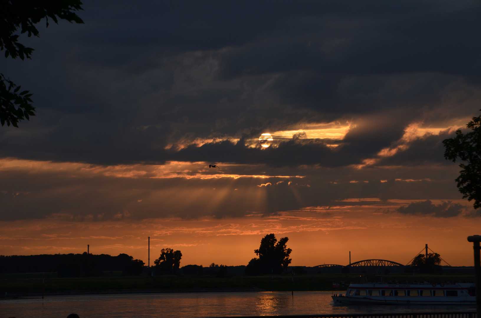 Mein Rhein Juni 2012