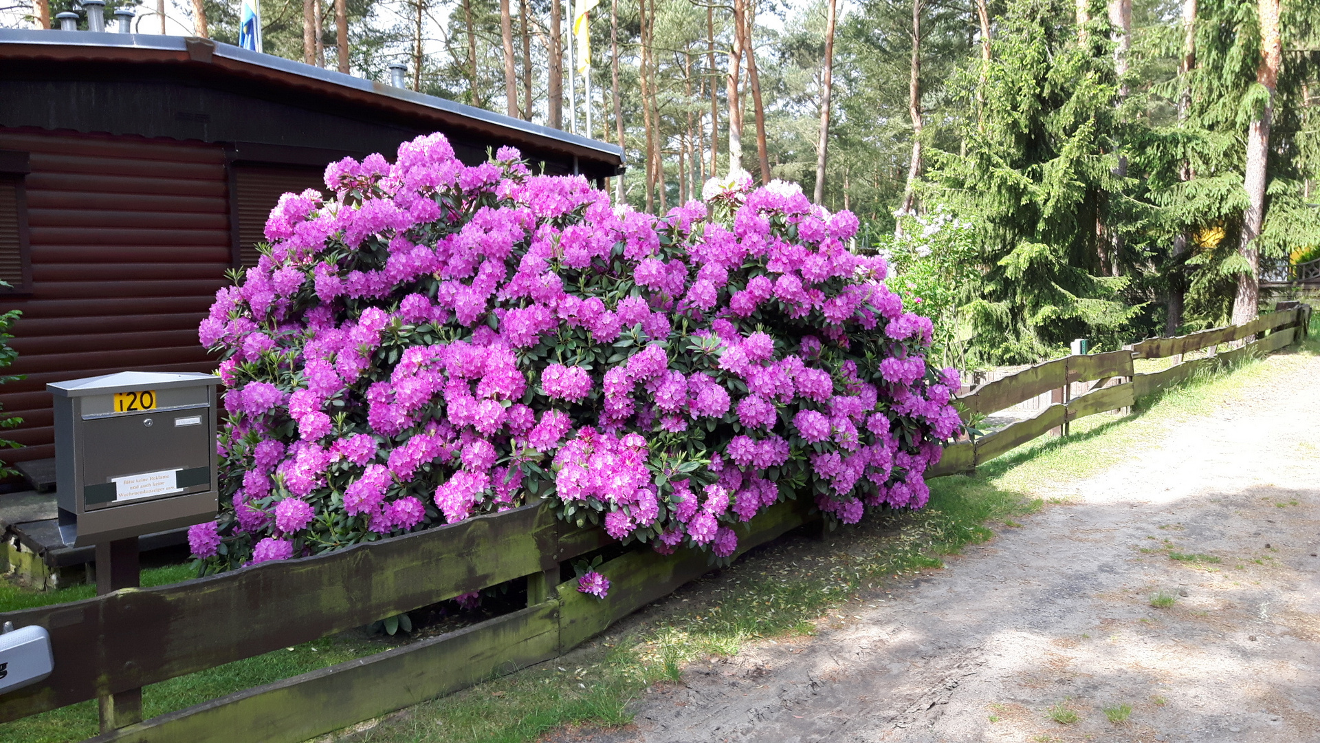 Mein Rhodos 2016