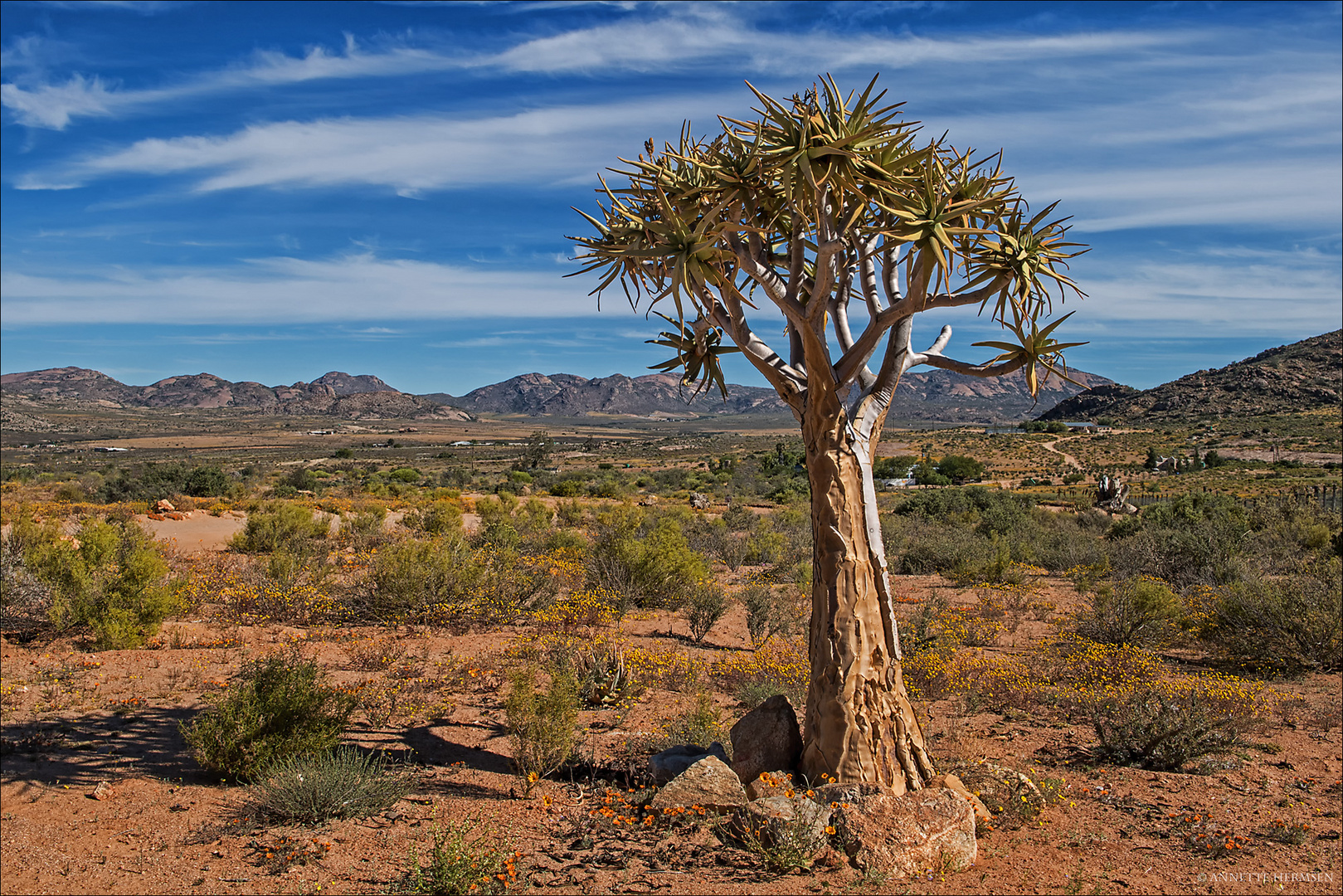 Mein Roadmovie [6] - Namaqualand