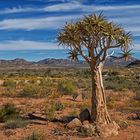 Mein Roadmovie [6] - Namaqualand