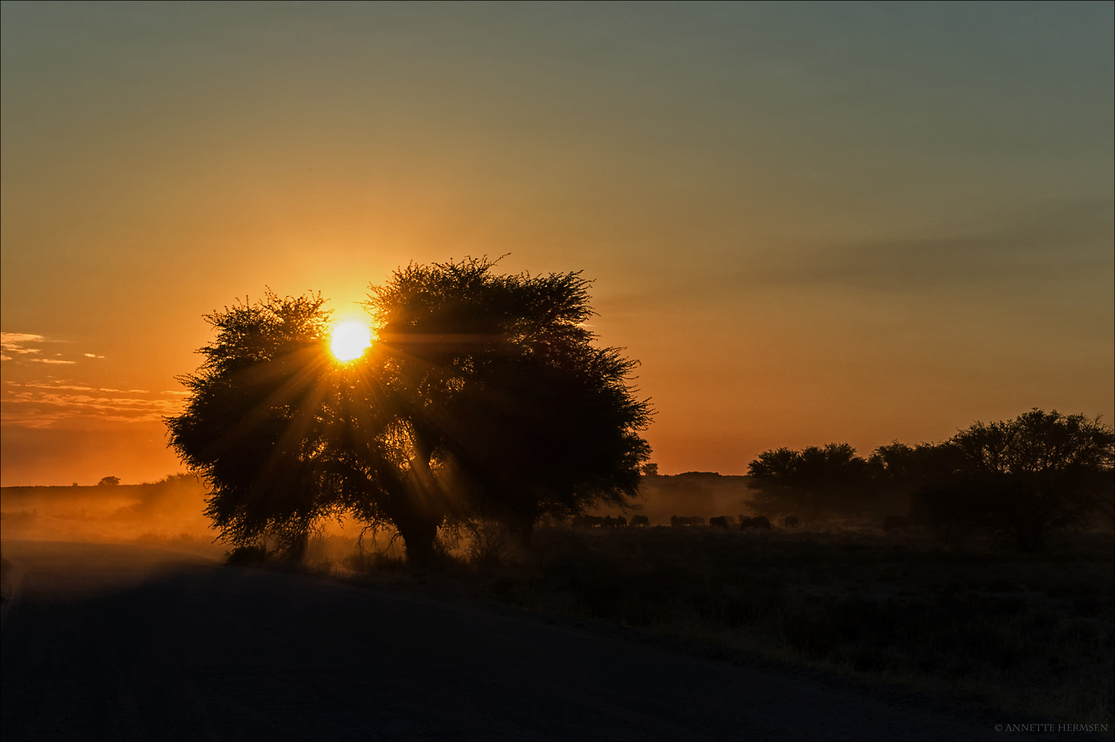 Mein Roadmovie [65] - Good Morning, Africa