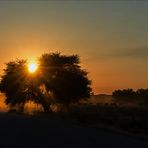 Mein Roadmovie [65] - Good Morning, Africa