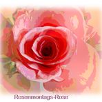 Mein Rosenmotagsblümchen für Euch