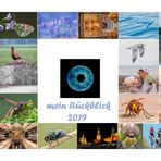 mein rückblick 2019