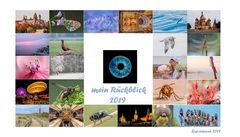 mein rückblick 2019