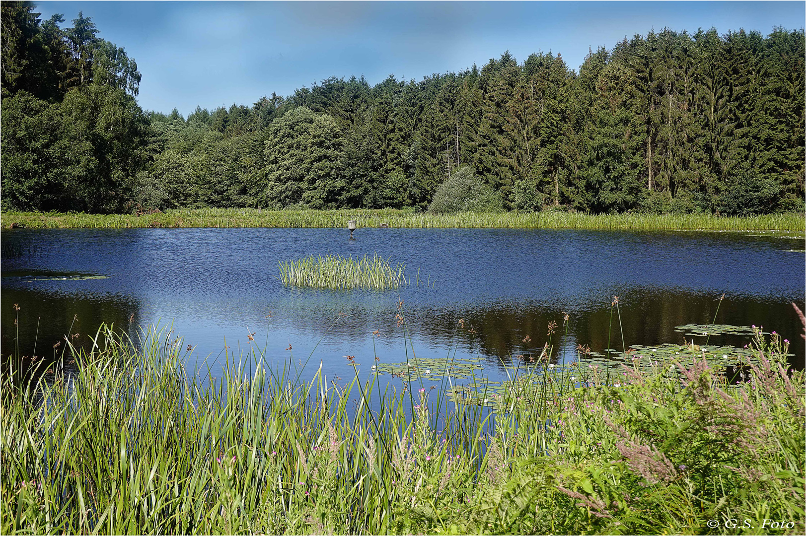 Mein Rückzugsort, der Weiher.......