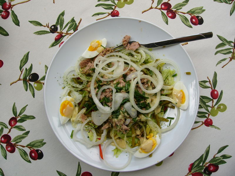 Mein Salat "Nicoise"