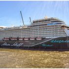 Mein Schiff 1