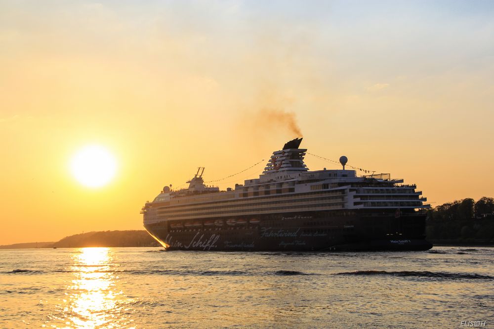 Mein Schiff 1