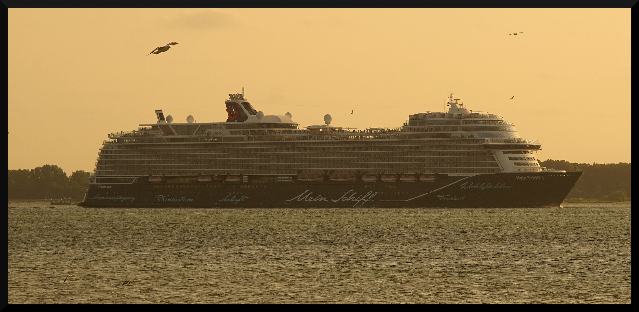 Mein Schiff 1 in der Kieler Bucht