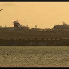 Mein Schiff 1 in der Kieler Bucht