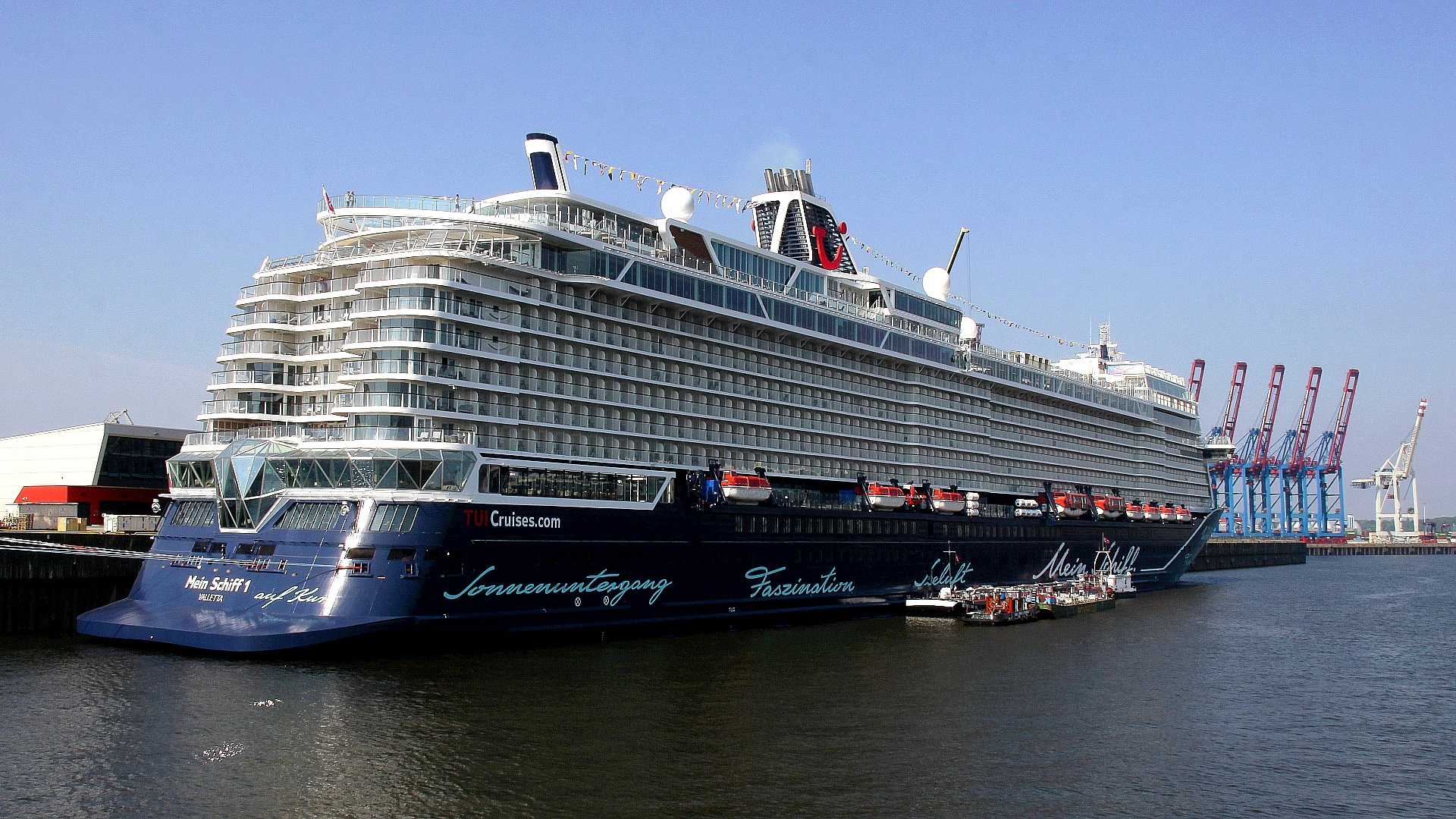 Mein Schiff 1 in Steinwerder