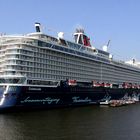 Mein Schiff 1 in Steinwerder