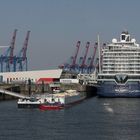 Mein Schiff 1 @ Kreuzfahrt-Terminal