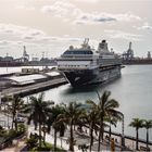 Mein Schiff Herz.....