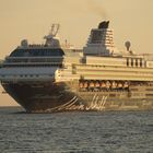 Mein Schiff in der Morgensonne