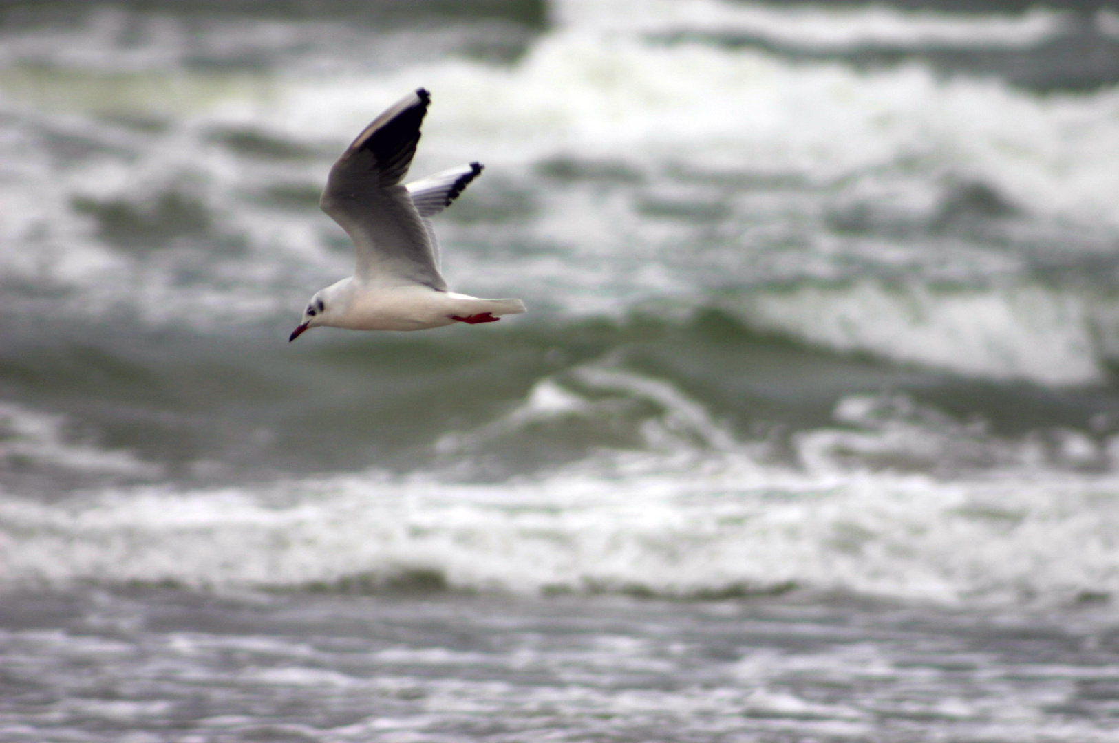 mein schnappschuss an der ostsee