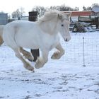 Mein Schnee"einhorn"