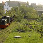 Mein schöner Garten