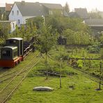 Mein schöner Garten