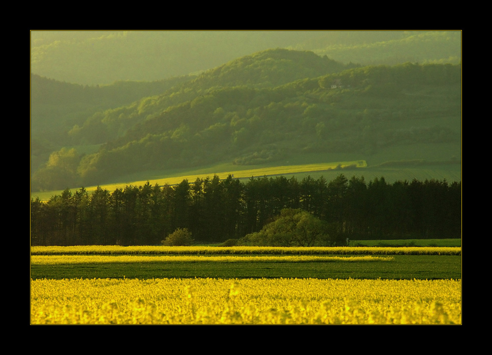 Mein schönes Weserbergland... (8. DER REIHE: WAS MAN MIT RAPS...)