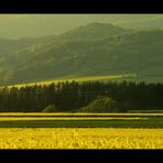 Mein schönes Weserbergland... (8. DER REIHE: WAS MAN MIT RAPS...)