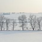 Mein schönster Blick aus dem Fenster 