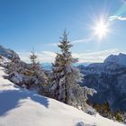 mein schönstes Urlaubsfoto