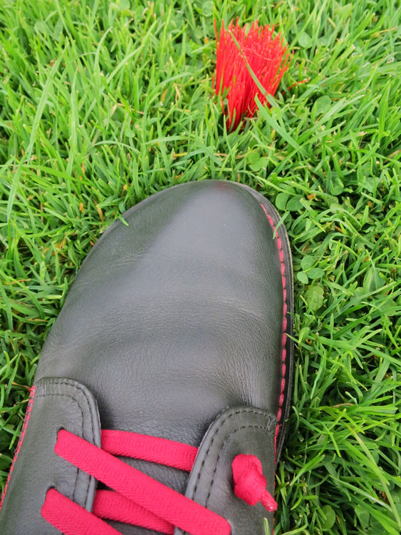 Mein Schuh und das rote Gras...