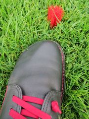 Mein Schuh und das rote Gras...