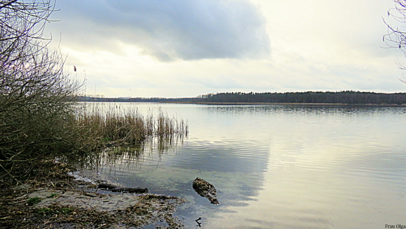 Mein See am Sonntag