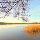 Mein See, fast vor der Haustür