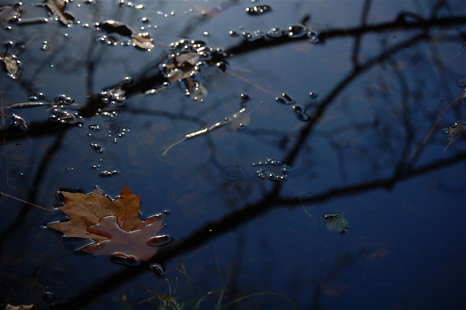 mein See im Herbst