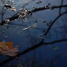 mein See im Herbst