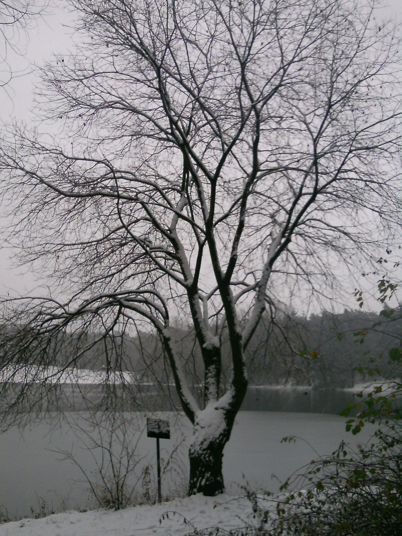 "Mein" See im kalten Grau