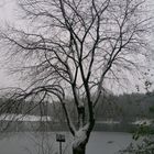 "Mein" See im kalten Grau