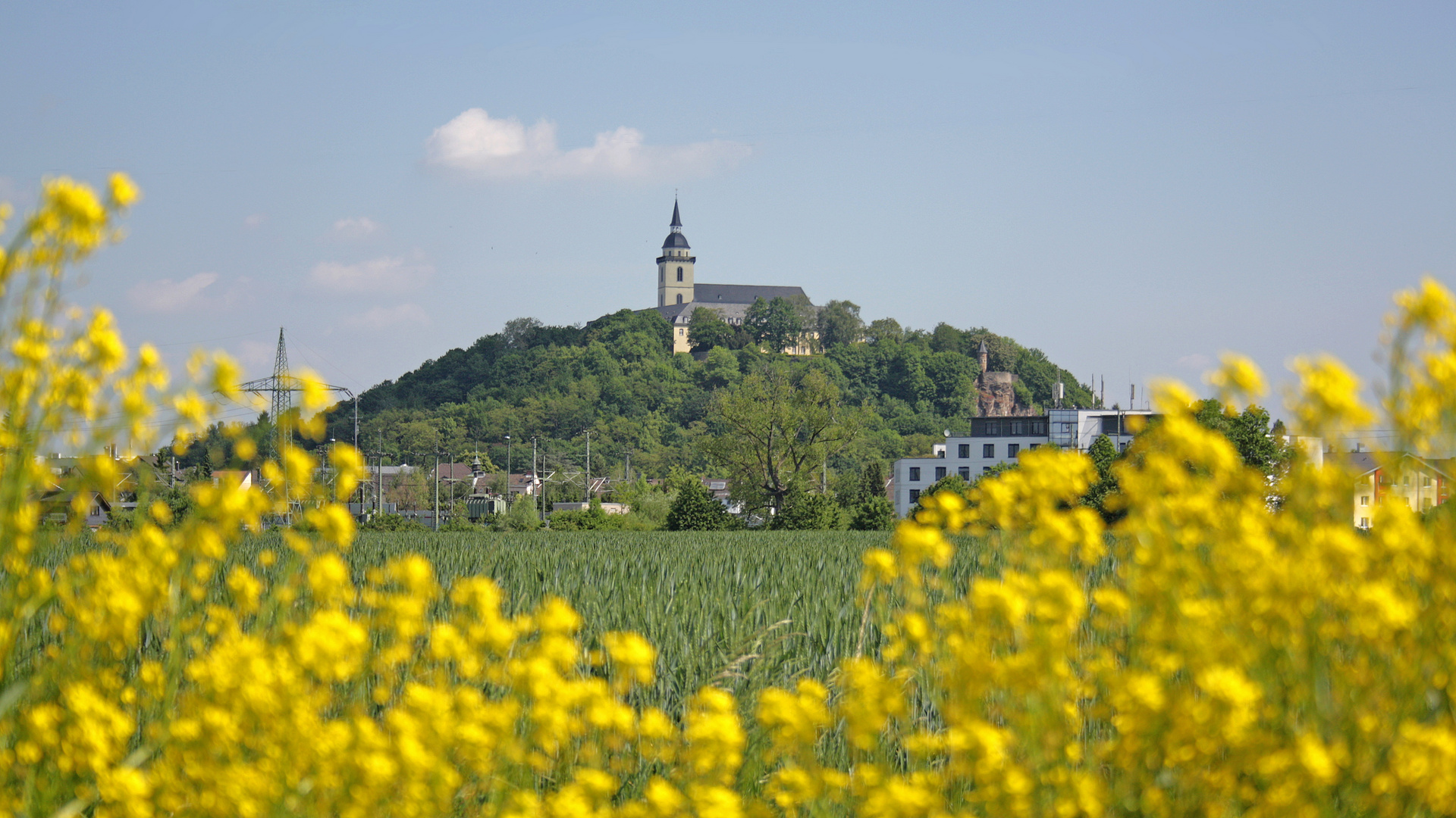 Mein Siegburg: blütenumringter Michaelsberg 