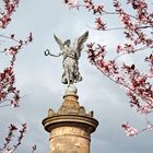 Mein Siegburg: Siegesengel im Frühjahr