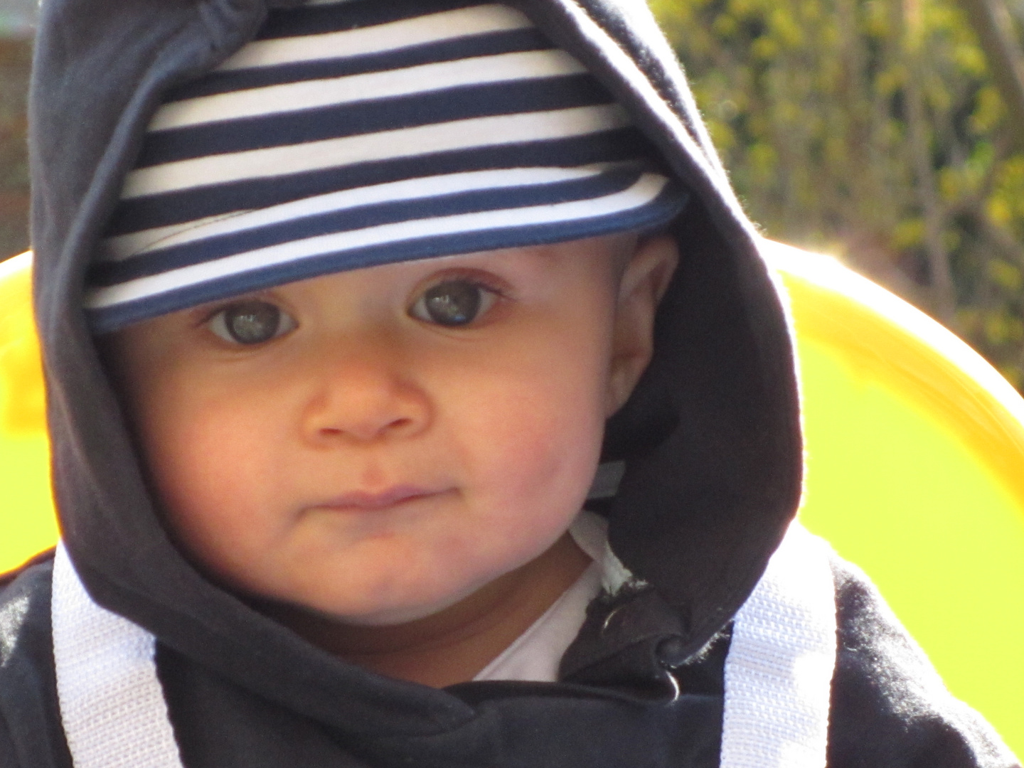 mein Sohn Foto & Bild kinder, babies, menschen Bilder auf