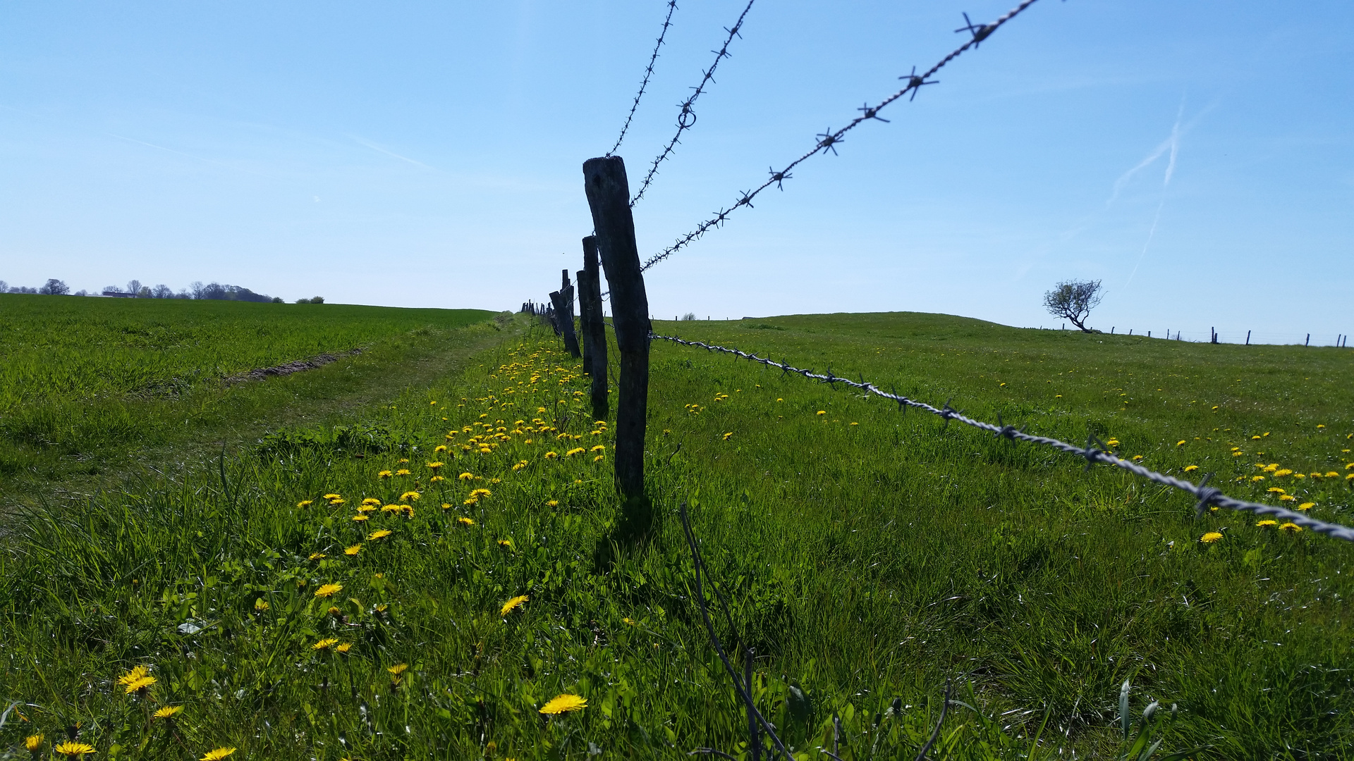 Mein Sommer in Kiel 