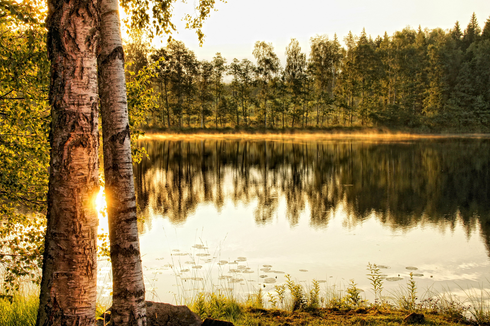 Mein Sommer in Schweden auf Öland Foto & Bild jahreszeiten, sommer